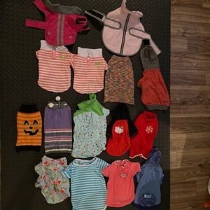 Small dog clothes